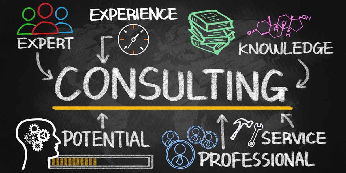 Should I Use Consultants for my Startup